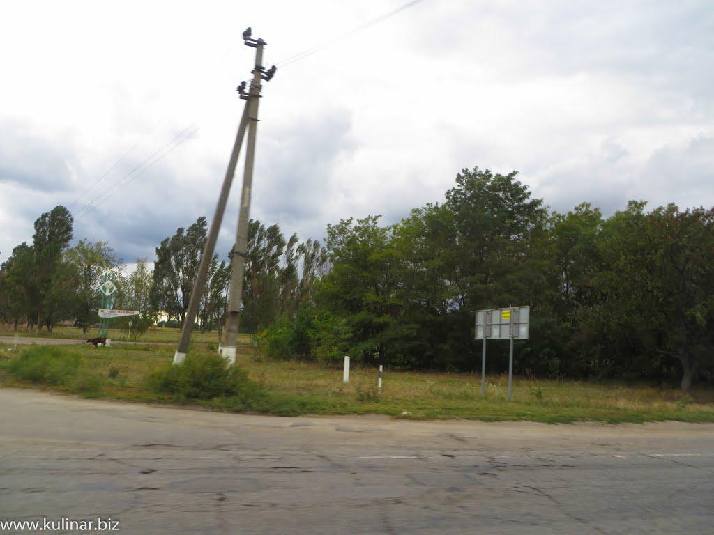 Новогорівка з panoramio.com - Новогорівка