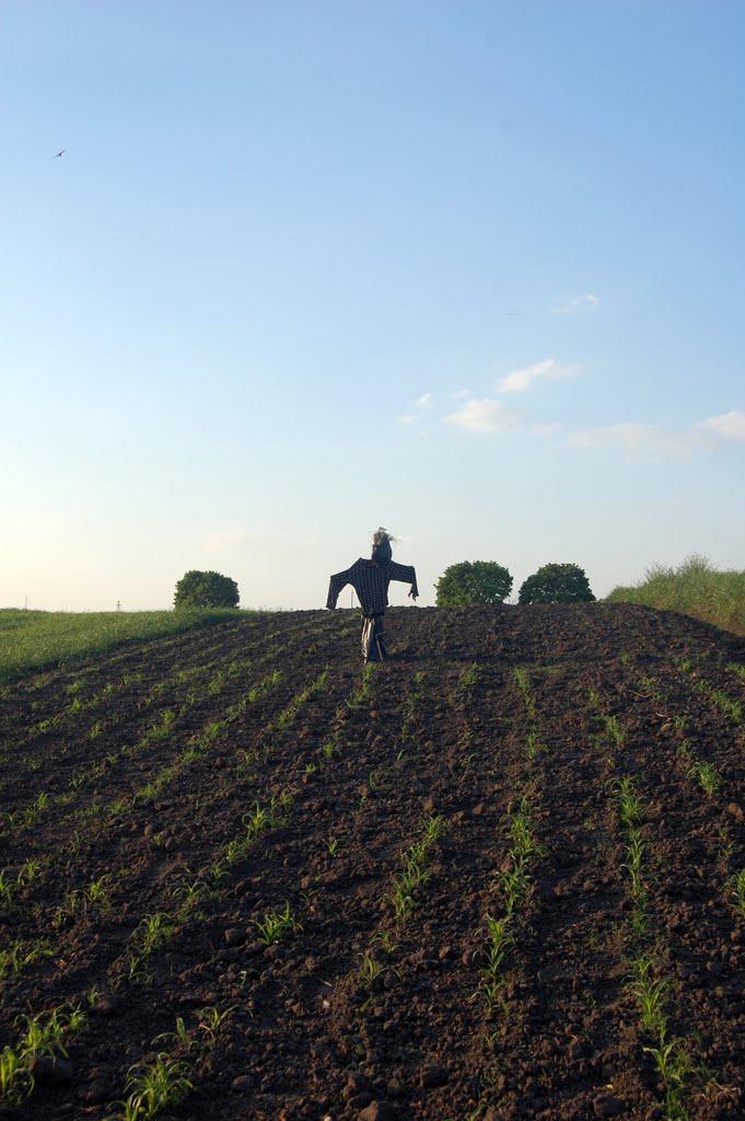 Рогізне з panoramio.com - Рогізне