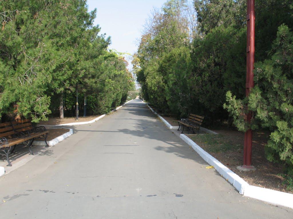 Саки з panoramio.com - Саки