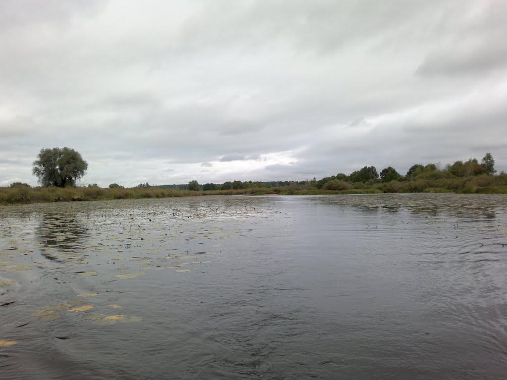 Суслівка з panoramio.com - Суслівка