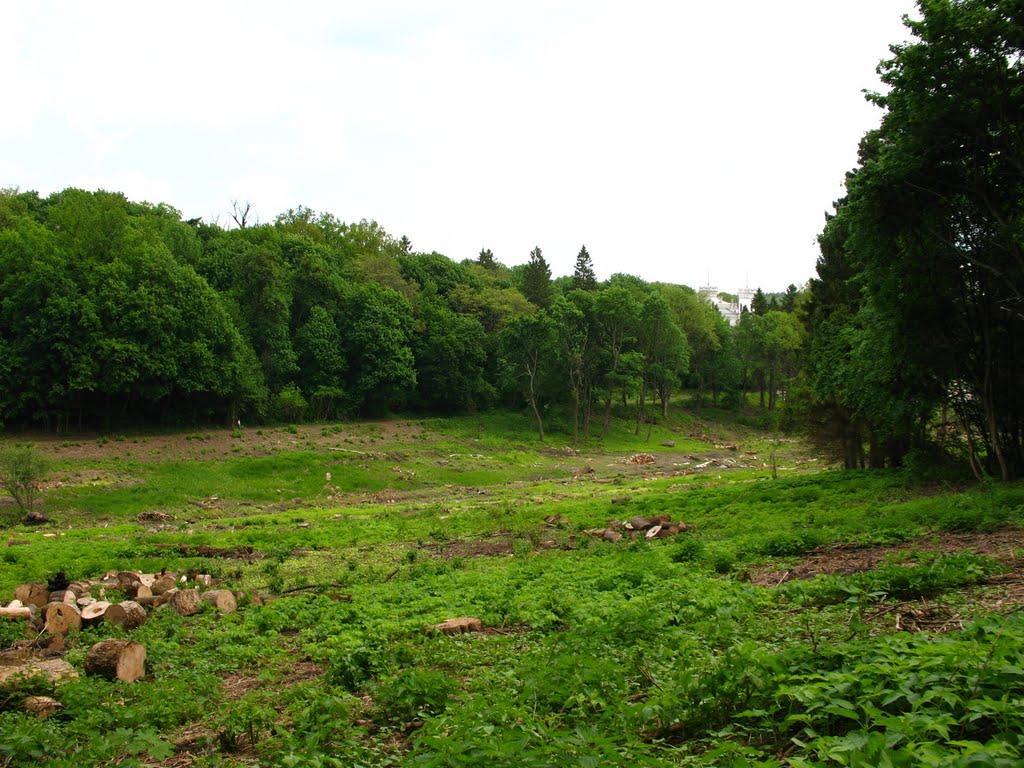 Шарівка з panoramio.com - Шарівка