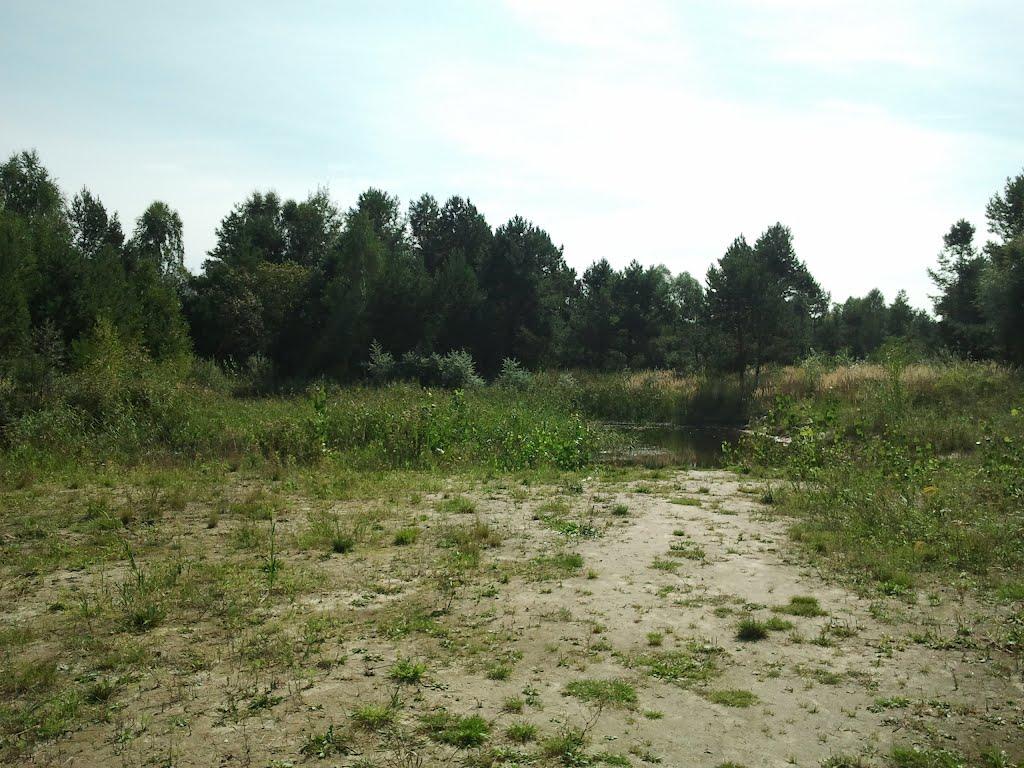 Торф'яне з panoramio.com - Торфяное