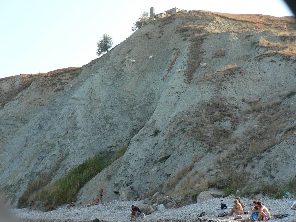 Феодосія з panoramio.com (ч.4) - Pheodosia
