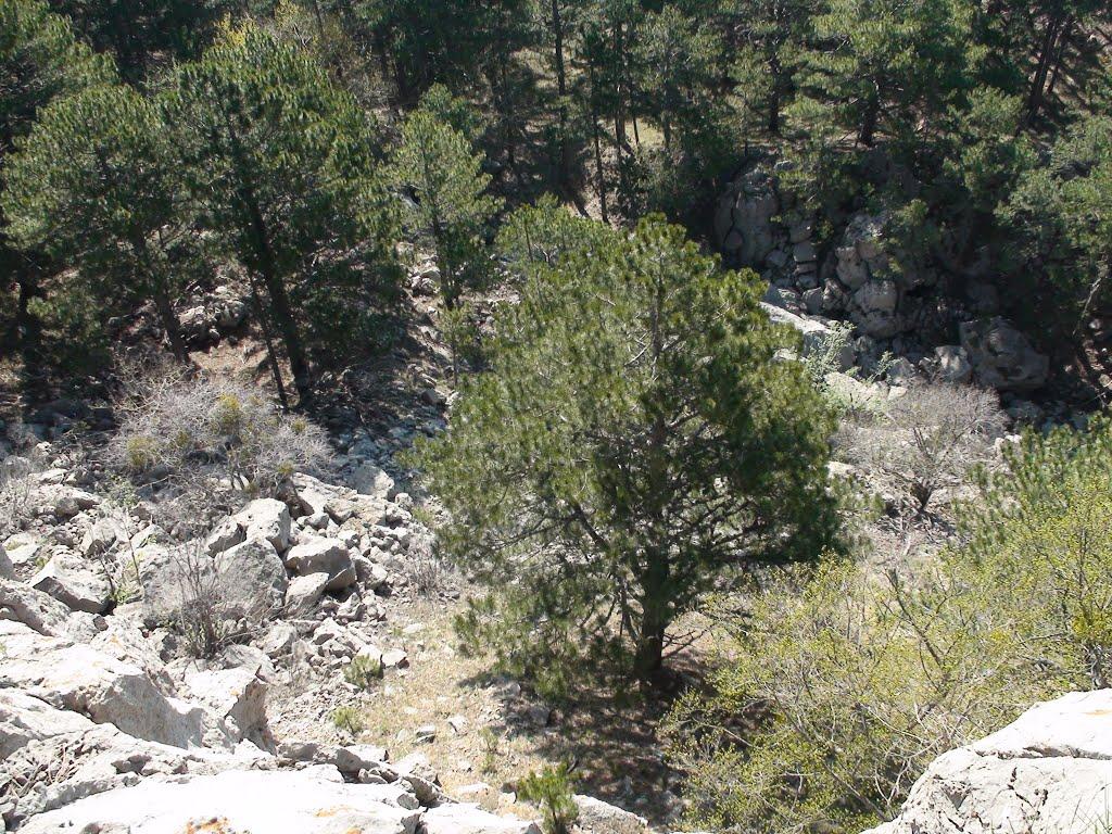 Нікіта з panoramio.com (ч.2) - Нікіта