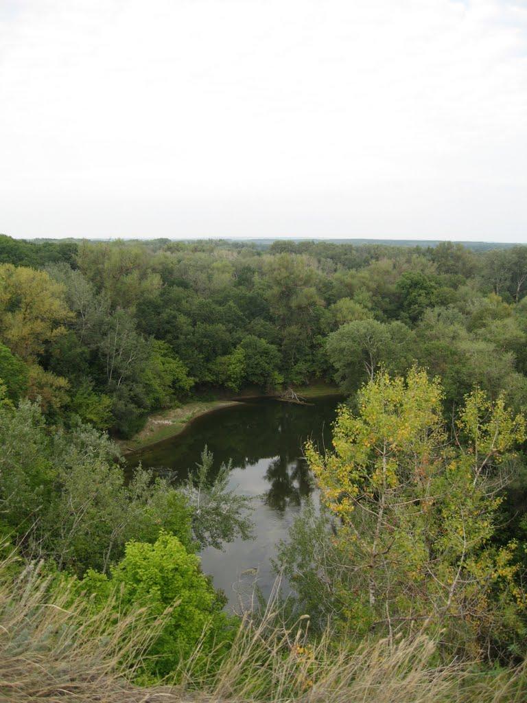 Плавні з panoramio.com - Plavni