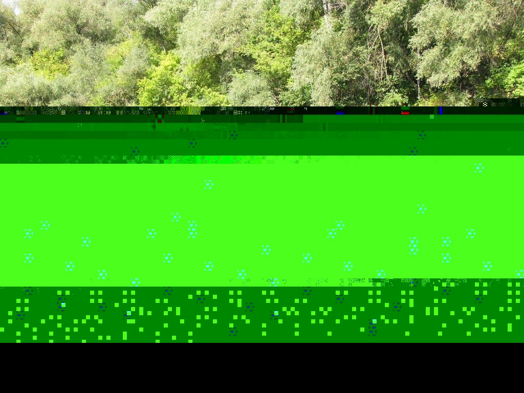 Яреськи з panoramio.com - Яреськи