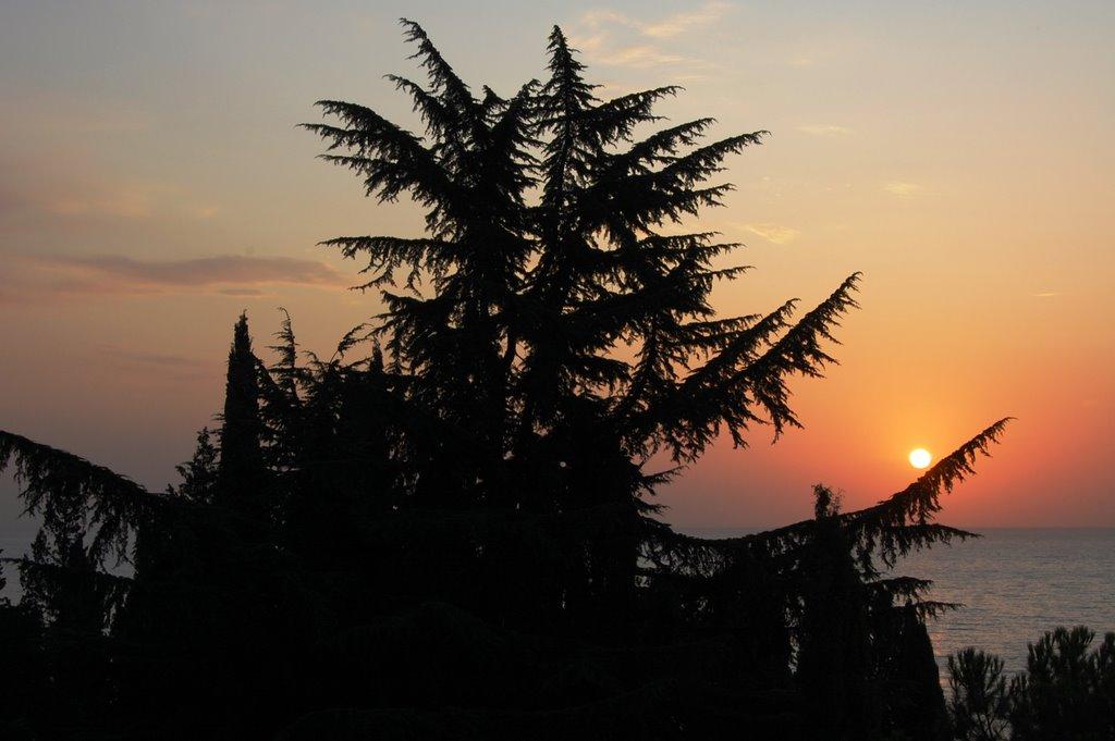 Алушта з panoramio.com (ч.3) - Алушта