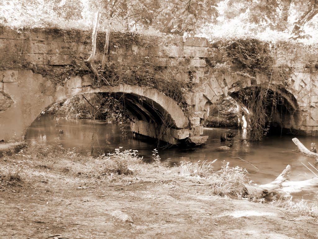 Резервне з panoramio.com (ч.4) - Резервное