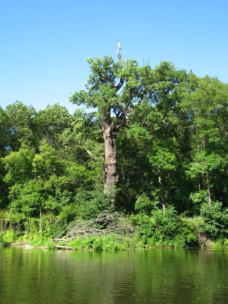 Богородичне з panoramio.com - Богородичне