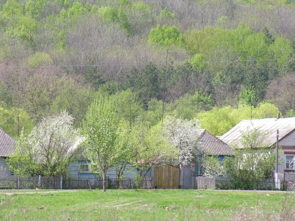 Олександрія з panoramio.com - Александрия