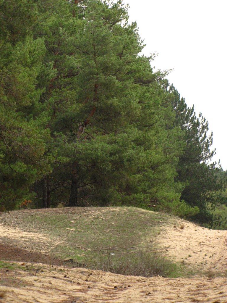 Гладківка з panoramio.com - Гладківка