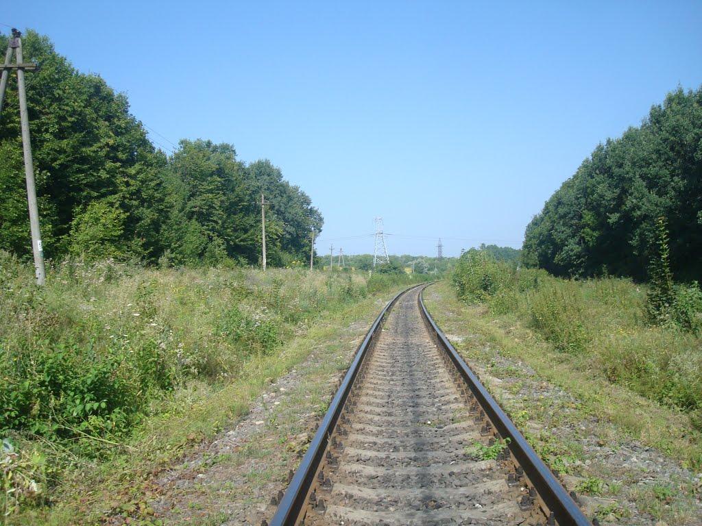 Тарасівка з panoramio.com - Тарасівка