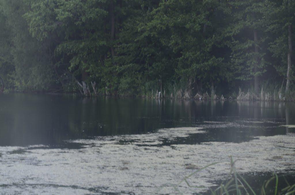 Дергачі з panoramio.com - Дергачі