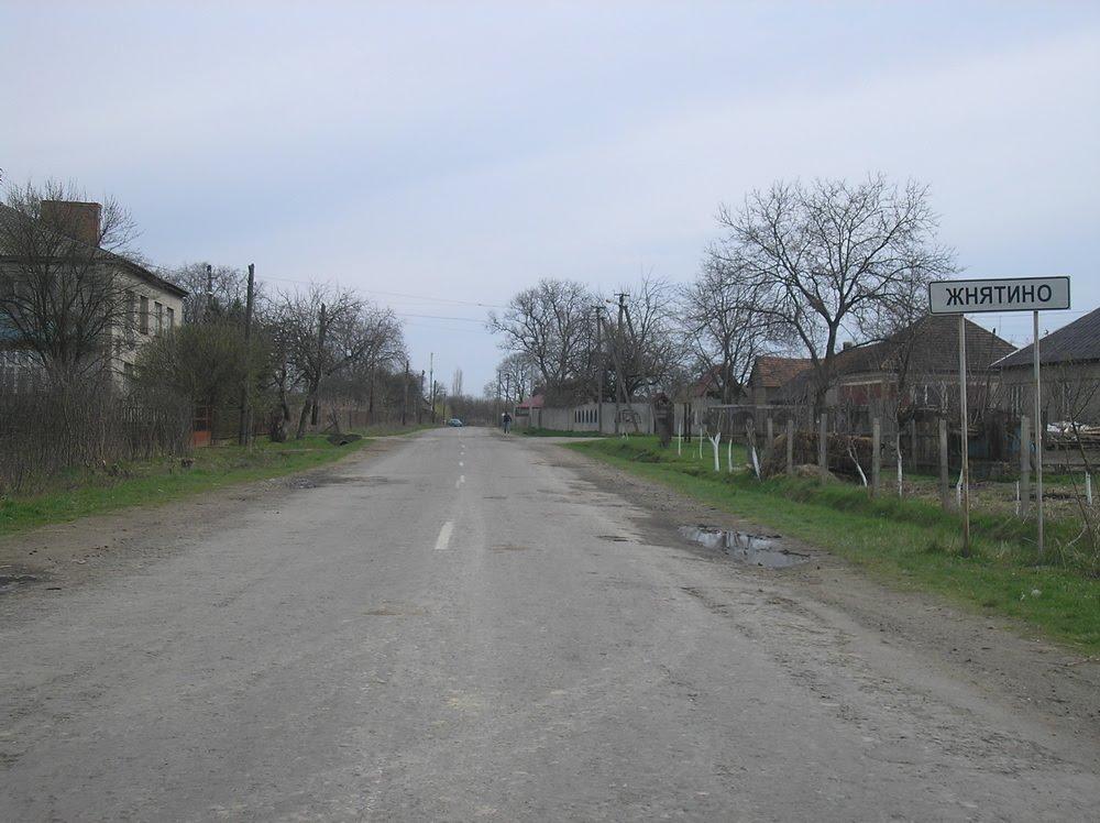 Жнятино з panoramio.com - Жнятино