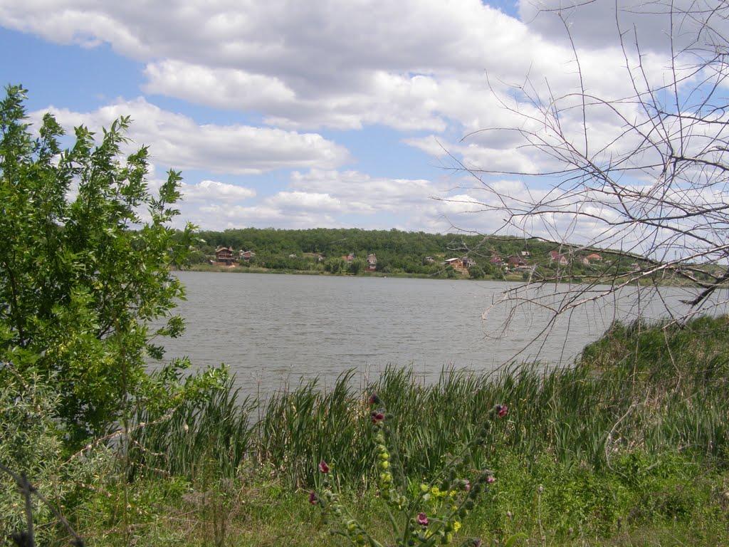 Крута Балка з panoramio.com - Крута Балка