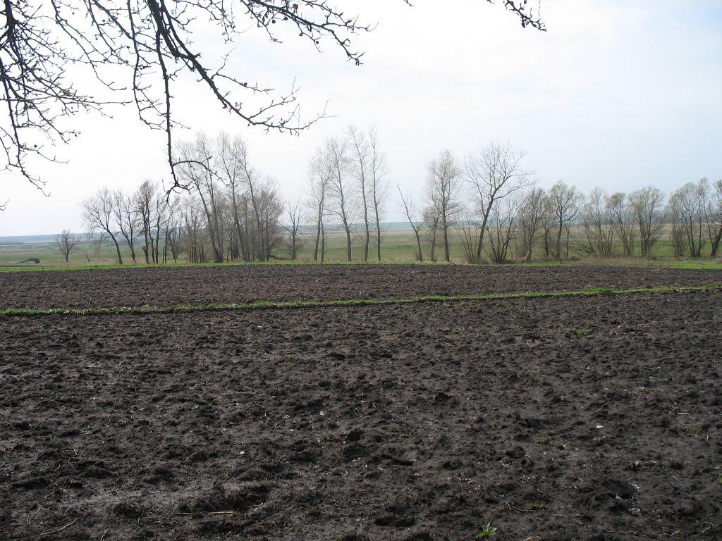 Чернява з panoramio.com - Чернява