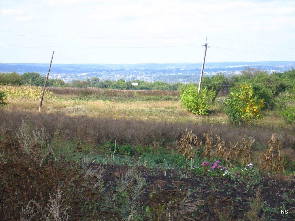 Сидори з panoramio.com - Сидори