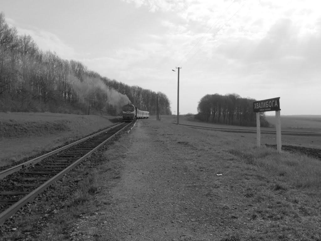 Виноград з panoramio.com - Виноград