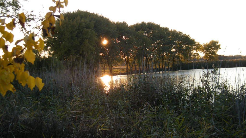 Великі Кринки з panoramio.com - Великі Кринки