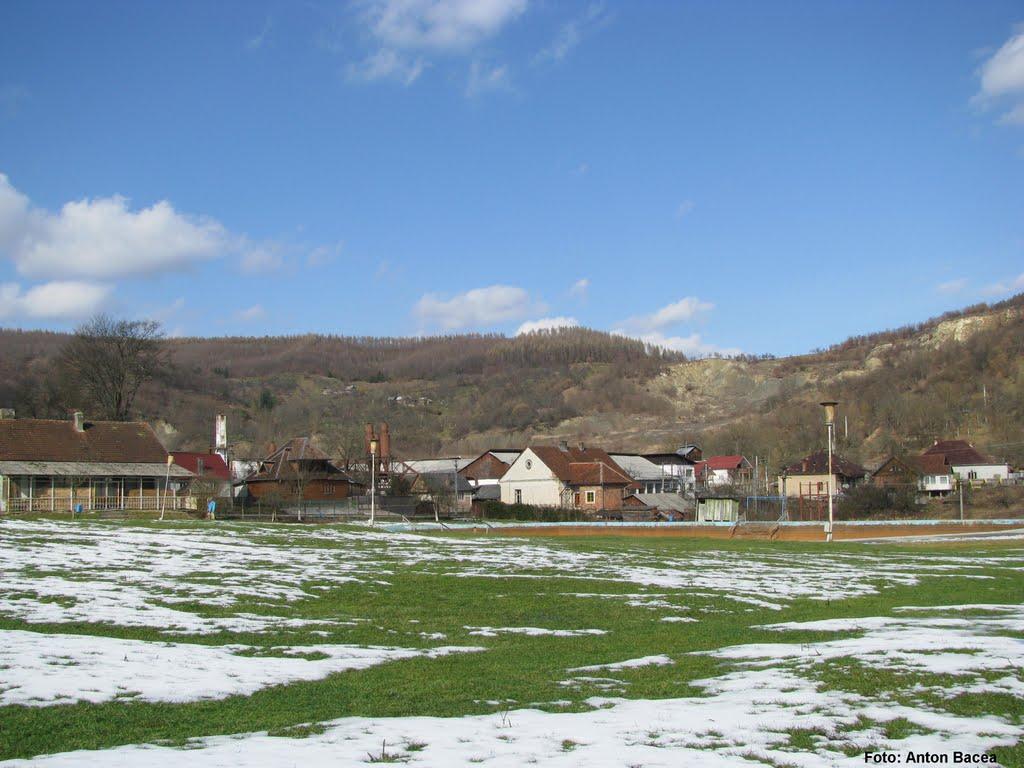 Великий Бичків з panoramio.com - Великий Бичків