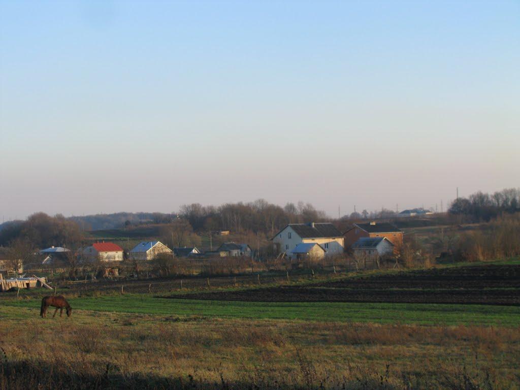 Жорниська з panoramio.com - Жорниська