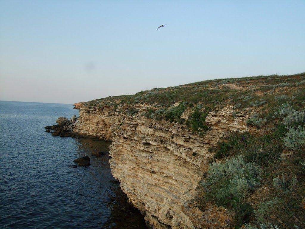 Міжводне з panoramio.com - Міжводне