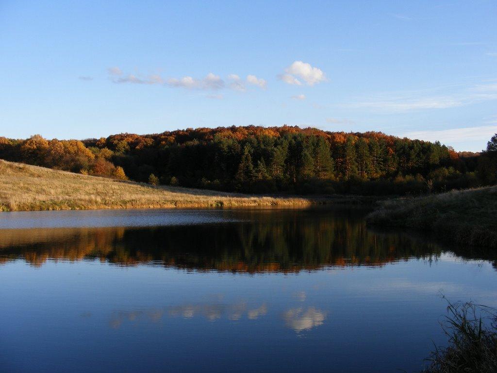 Ракова з panoramio.com - Ракова