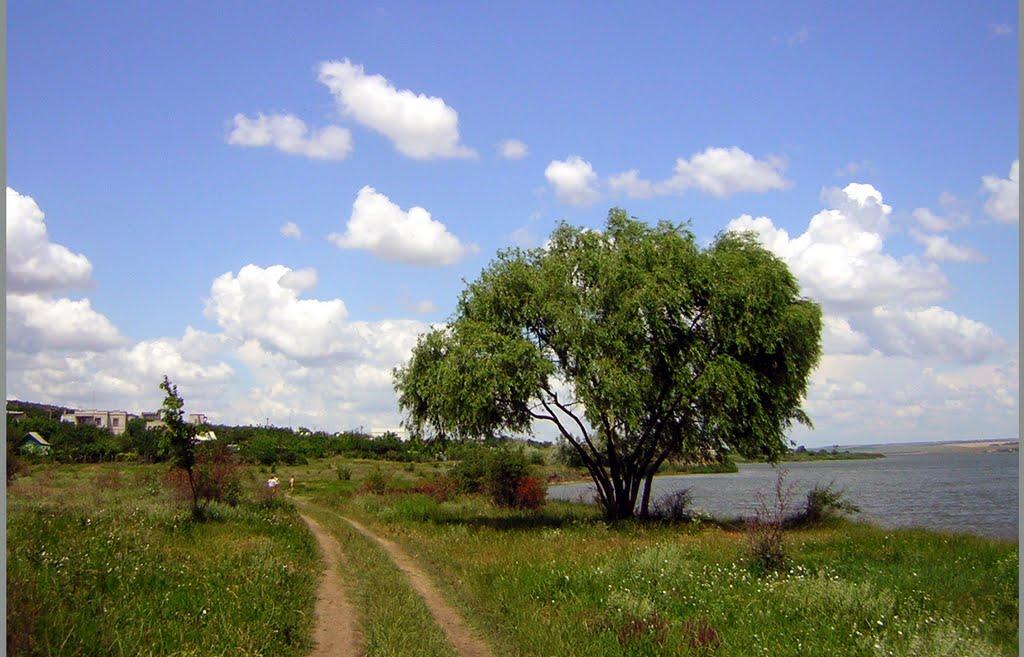 Щорсове з panoramio.com - Щорсове