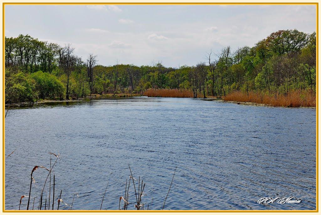 Серебрянка з panoramio.com - Серебрянка