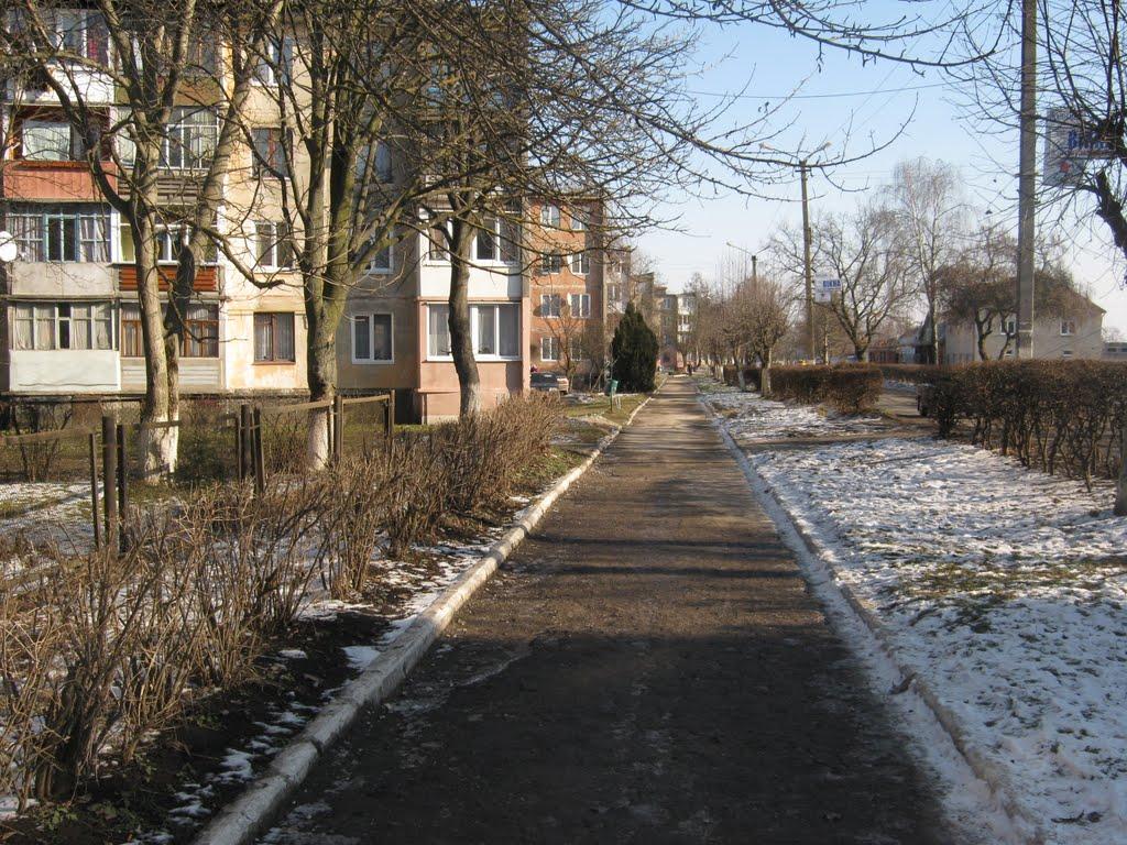 Бурштин з panoramio.com - Burshtyn