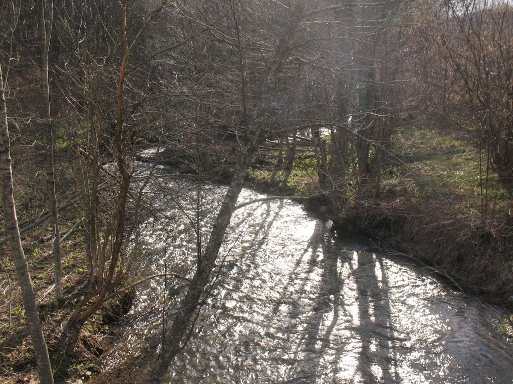 Стужиця з panoramio.com (ч.2) - Стужиця