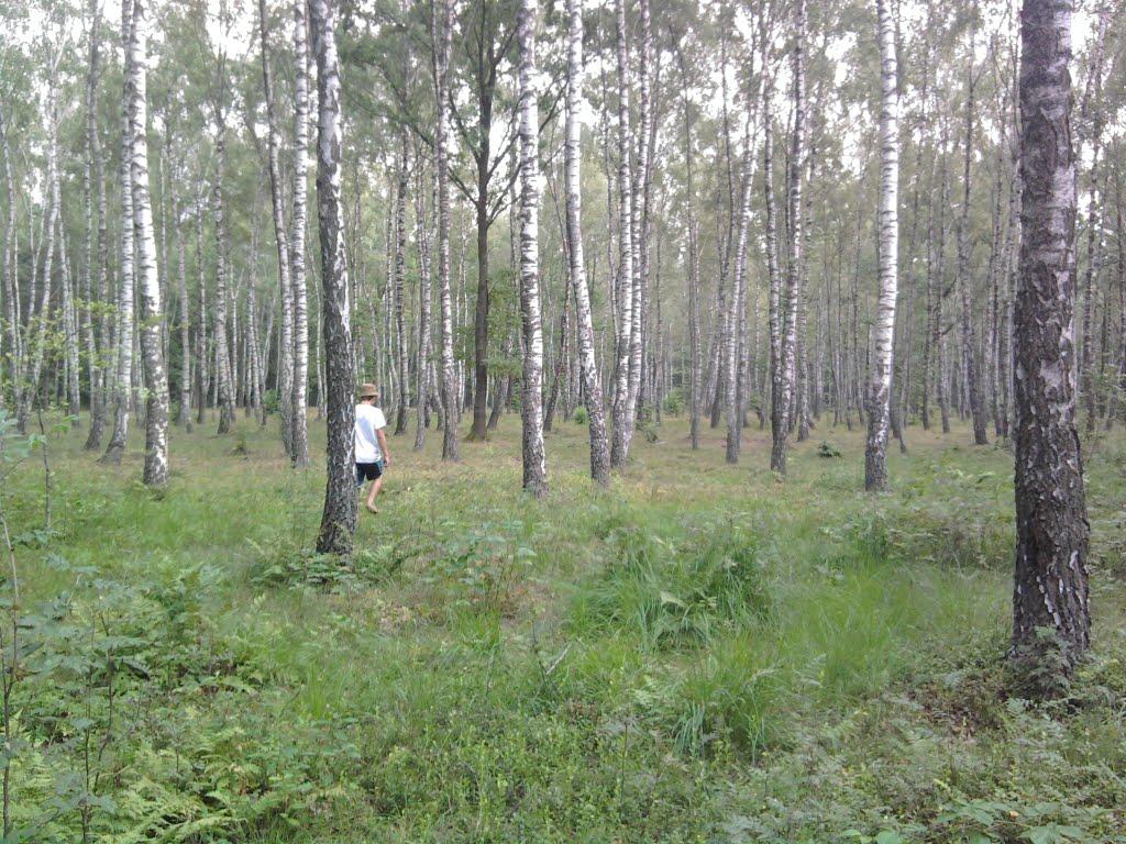 Залізниця з panoramio.com - Зализница