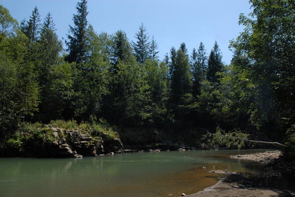 Новий Мізунь з panoramio.com - Новий Мізунь