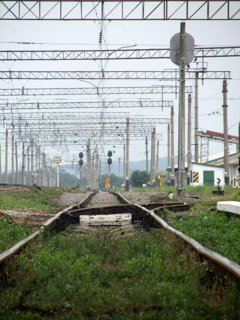 Веселинове з panoramio.com - Веселинове