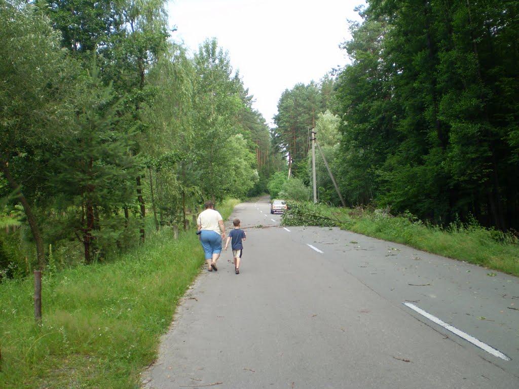 Пилиповичі з panoramio.com - Пилиповичі