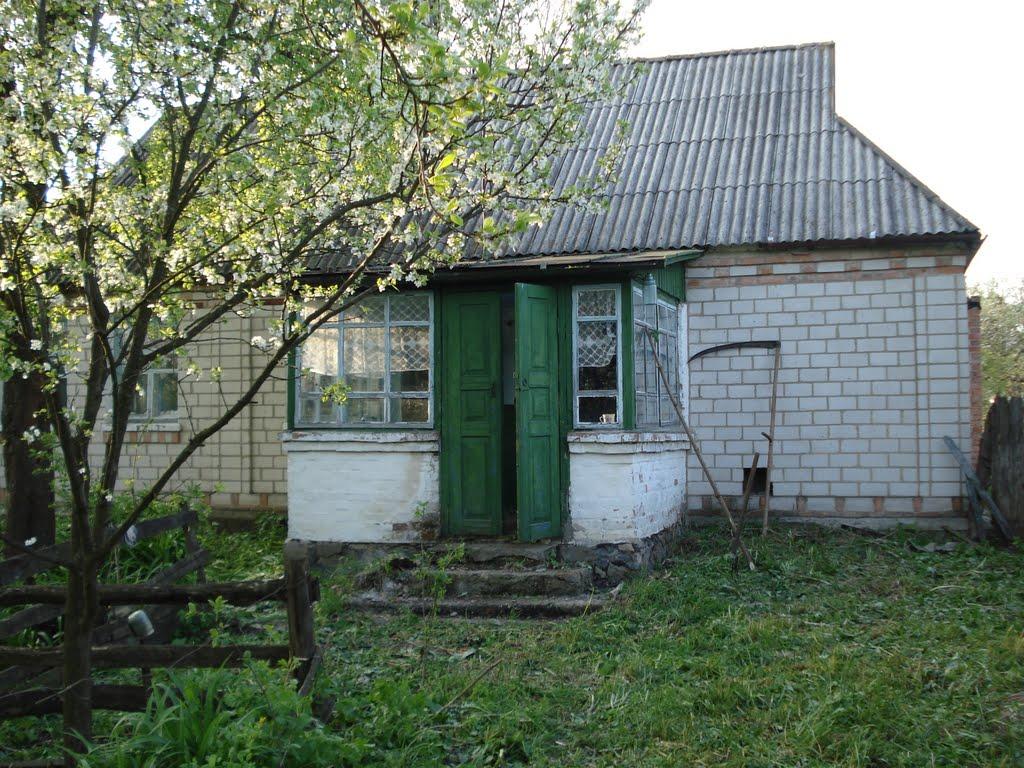 Подорожня з panoramio.com - Подорожня