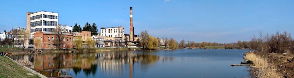 Косарі з panoramio.com (ч.2) - Косари