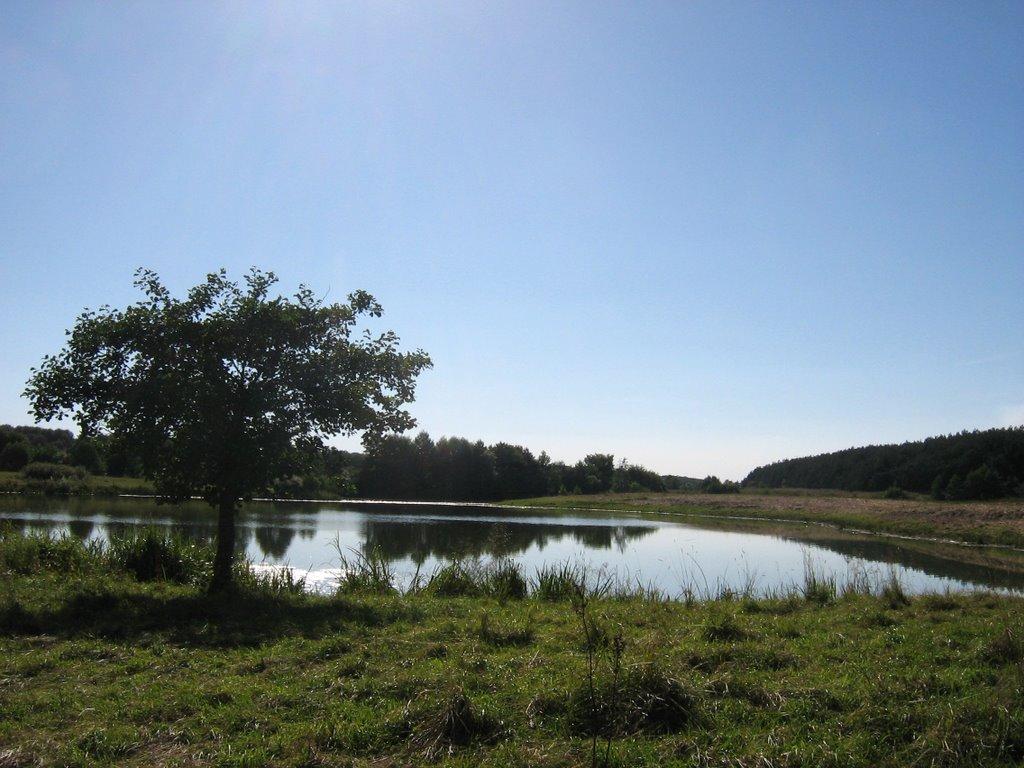 Безсалівка з panoramio.com - Безсалівка