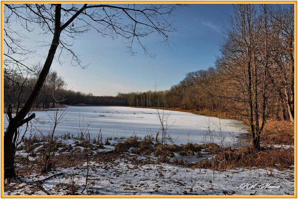 Привілля з panoramio.com - Привілля