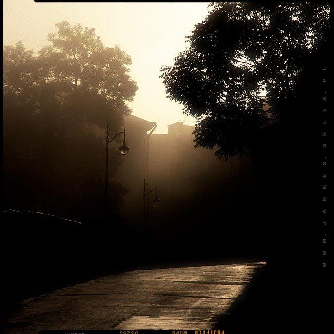 Нижанковичі з panoramio.com (ч.2) - Нижанковичі