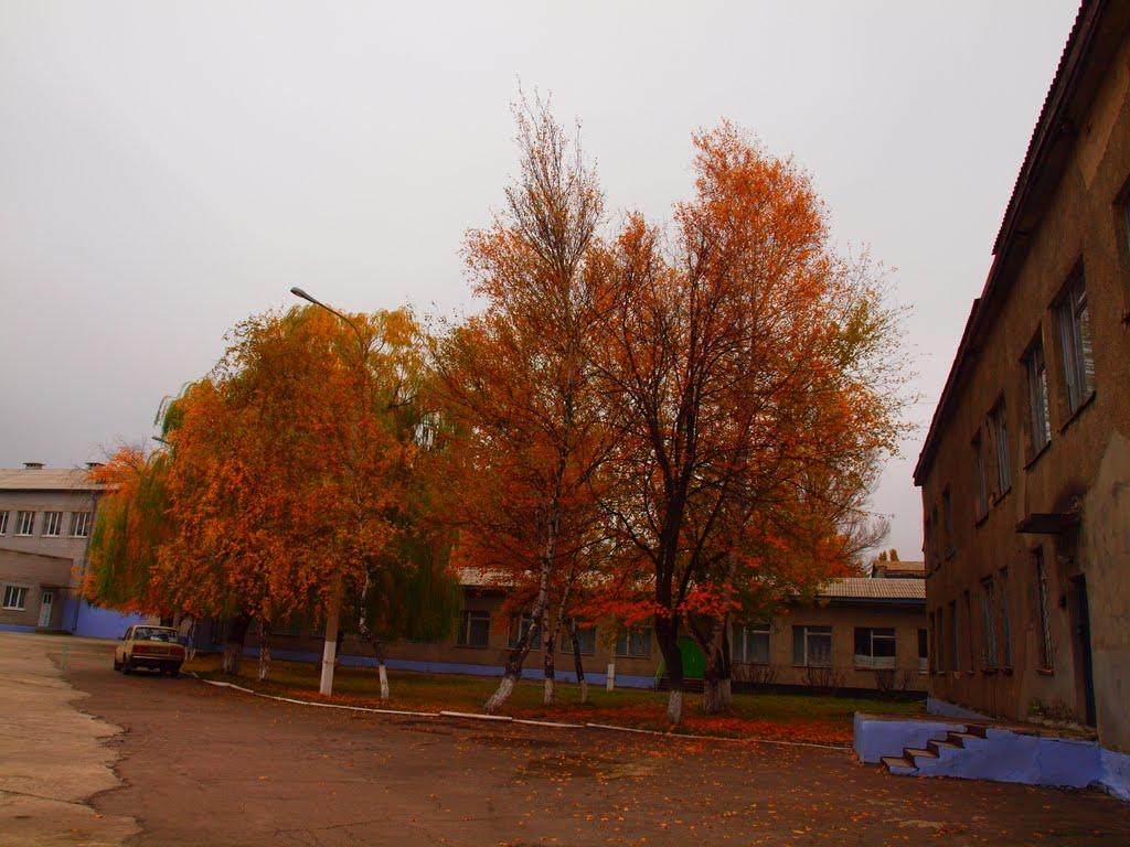 Черкаське з panoramio.com - Черкаське