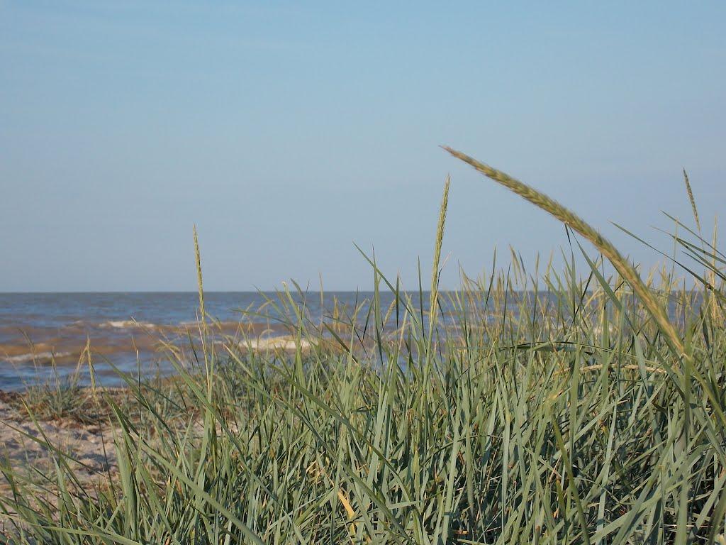 Преслав з panoramio.com - Преслав