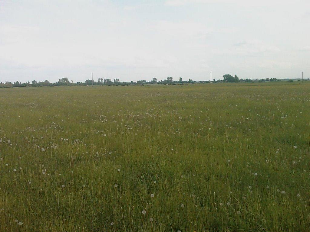 Мокре з panoramio.com - Мокре