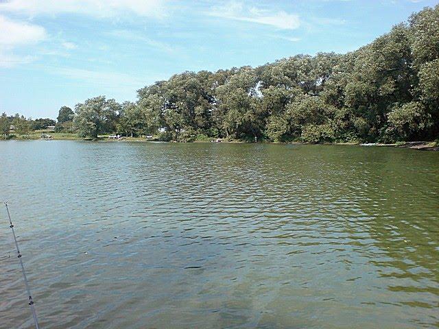 Липки з panoramio.com - Липки