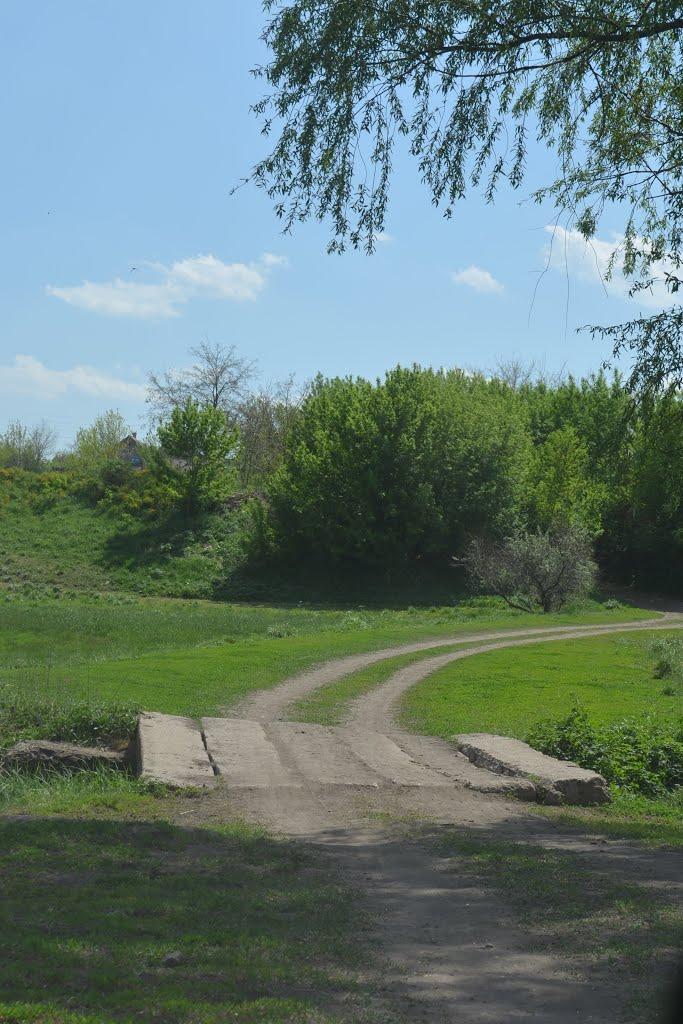 Білокузьминівка з panoramio.com - Білокузьминівка