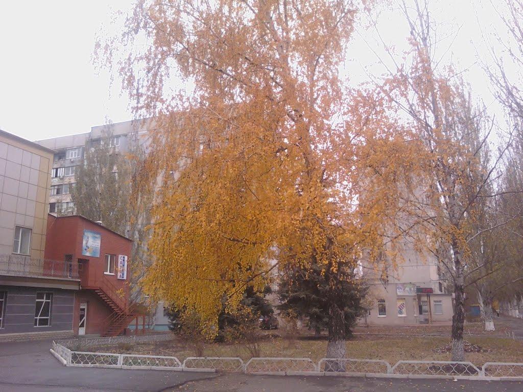 Луганськ з panoramio.com (ч.7) - Луганск