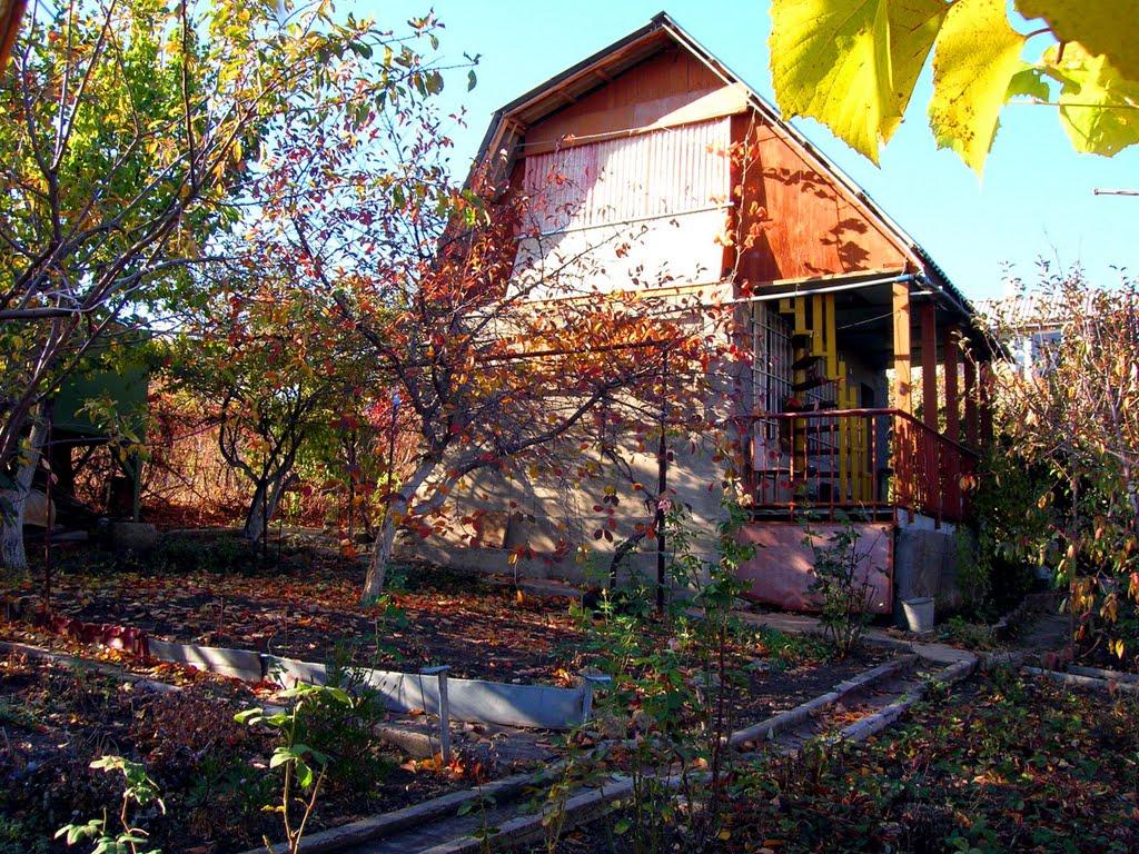 Щорсове з panoramio.com - Щорсове