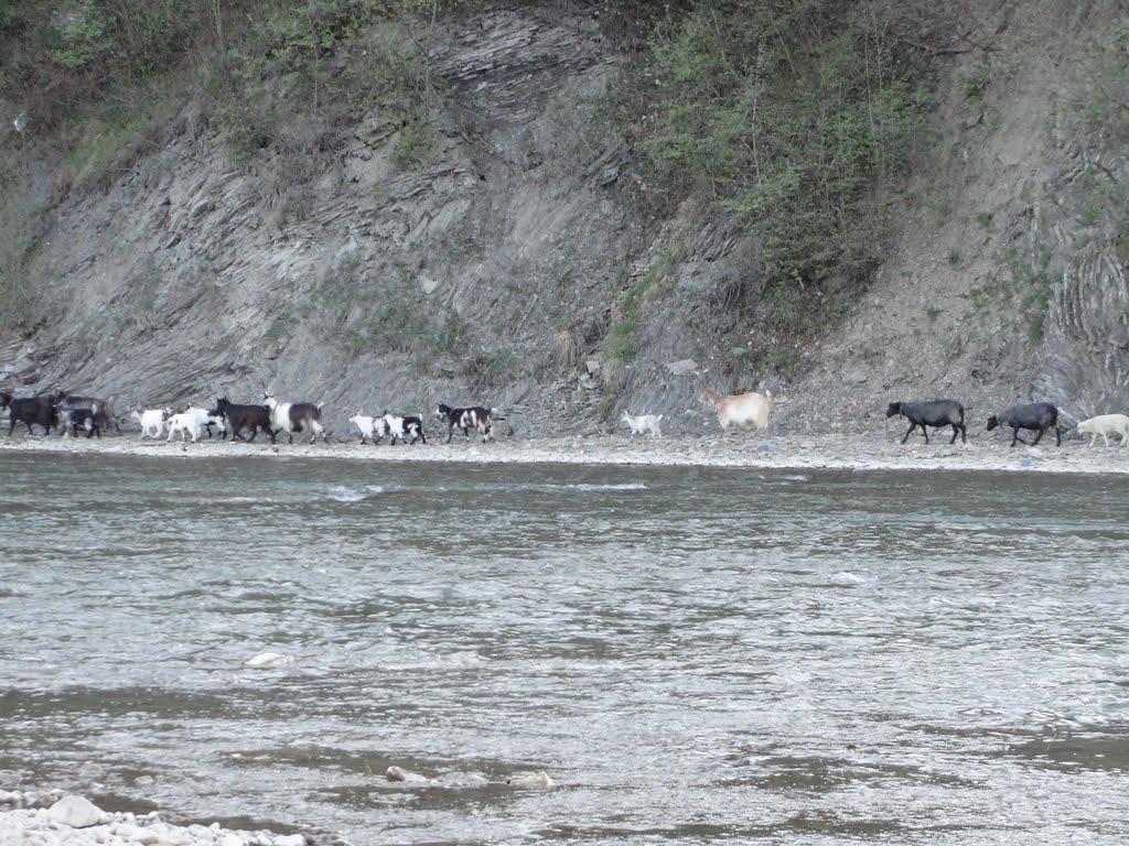 Міжгір'я з panoramio.com - Mizhgirya