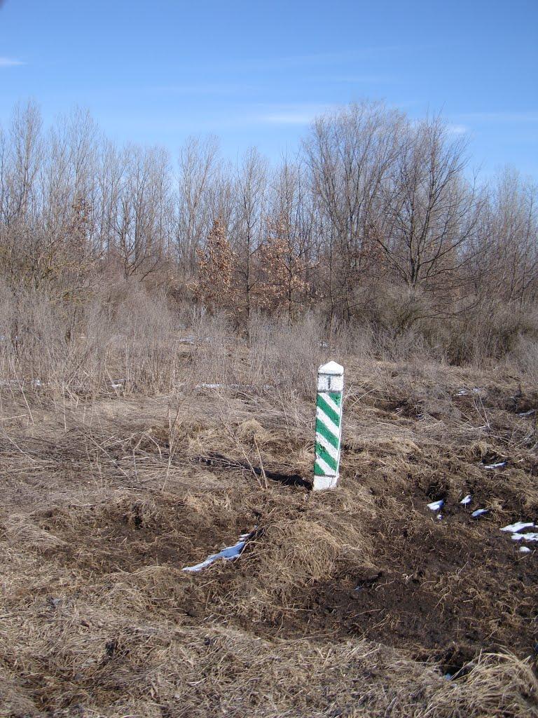 Лугове з panoramio.com - Лугове