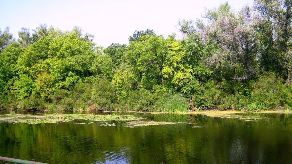 Плавещина з panoramio.com - Плавещина